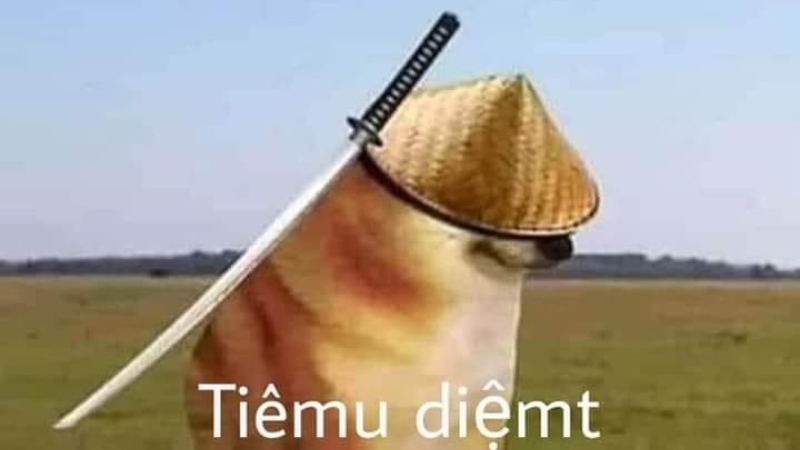 List Cheems meme, meme Shiba bonk, cầm súng thú vị nhất