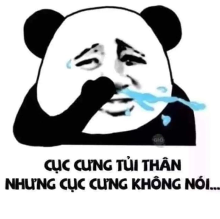 Bộ Meme Trung Quốc: Cuộc phiêu lưu hài hước và độc đáo