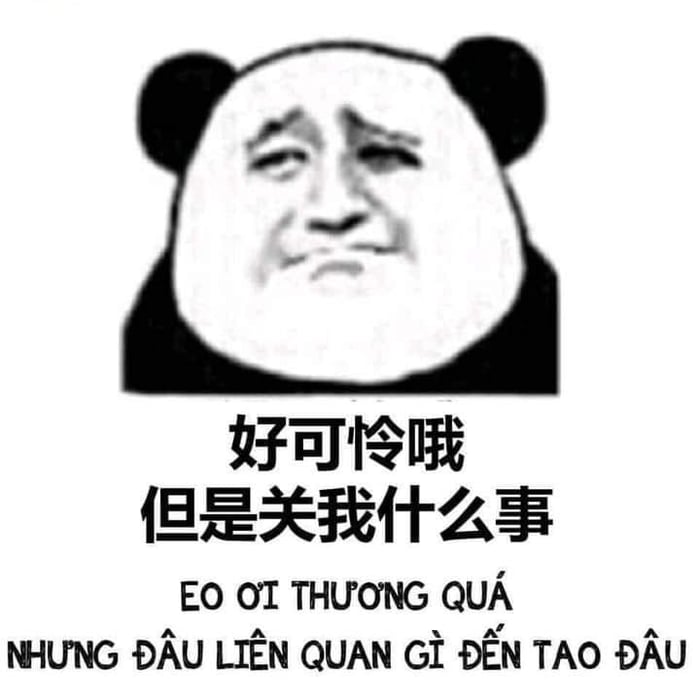 Bộ Meme Trung Quốc: Cuộc phiêu lưu hài hước và độc đáo