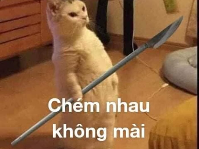 Tổng kết bộ sưu tập meme tát hài hước để thức tỉnh