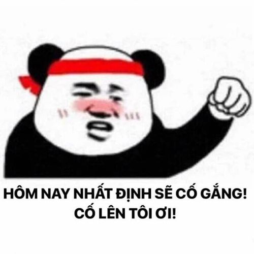 Bộ sưu tập hình ảnh Meme cố lên - Fighting Meme