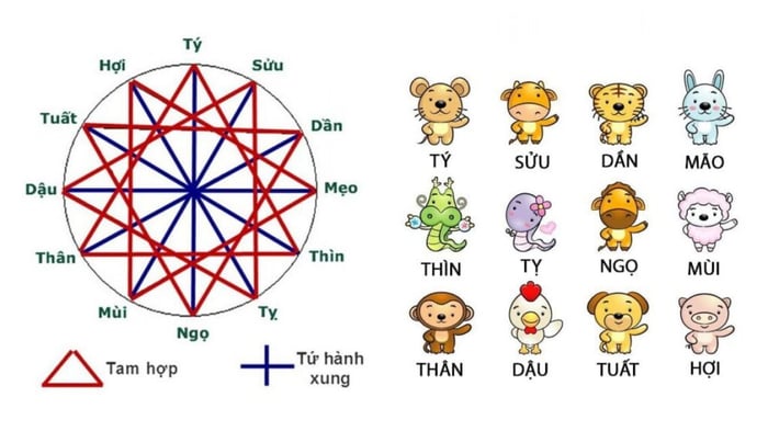 Tuổi Tỵ sinh năm nào? Tuổi Tỵ hợp với tuổi nào trong sự nghiệp, hôn nhân