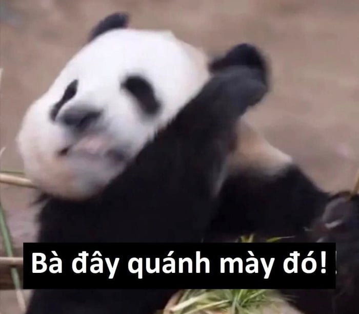 Bộ Meme Trung Quốc: Cuộc phiêu lưu hài hước và độc đáo