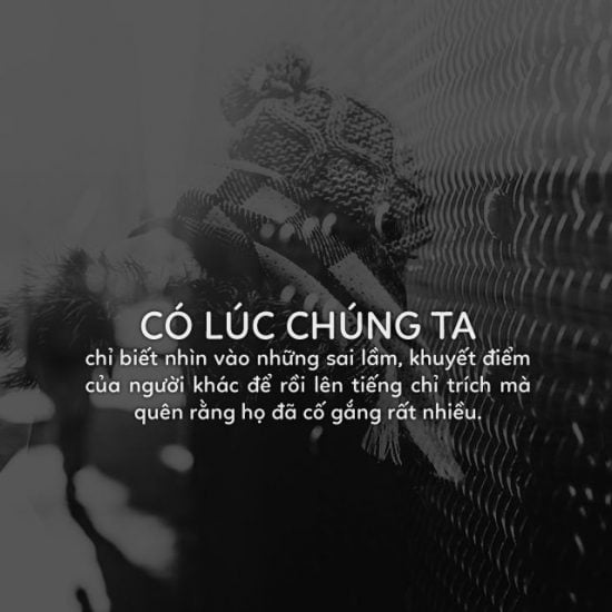 Những câu nói ý nghĩa về đạo lý, tình yêu, và cuộc sống anh em trong xã hội