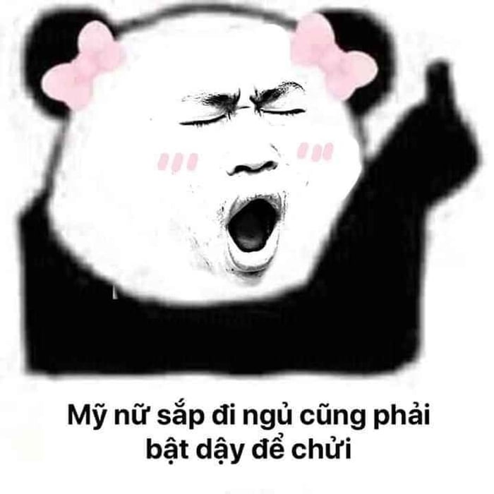 Bộ Meme Trung Quốc: Cuộc phiêu lưu hài hước và độc đáo