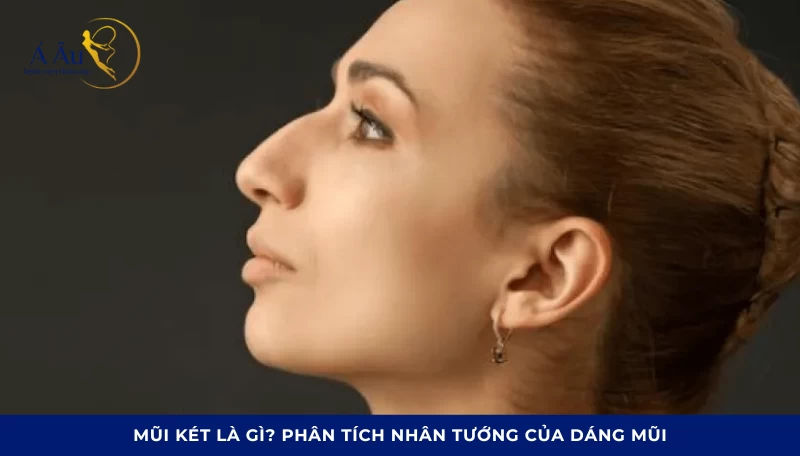 Mũi két là gì? Phân tích nhân tướng của dáng mũi