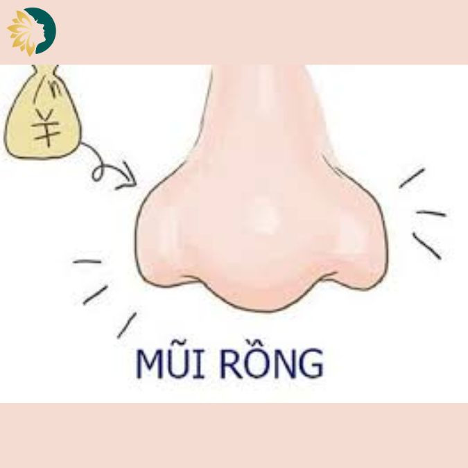 Mũi rồng là như thế nào? Tướng mũi rồng có giàu sang phú quý không?