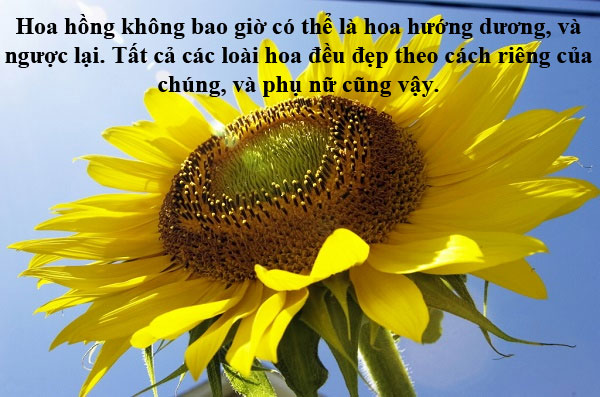 Câu nói hay về hoa, cap về hoa, stt về hoa hay và ý nghĩa