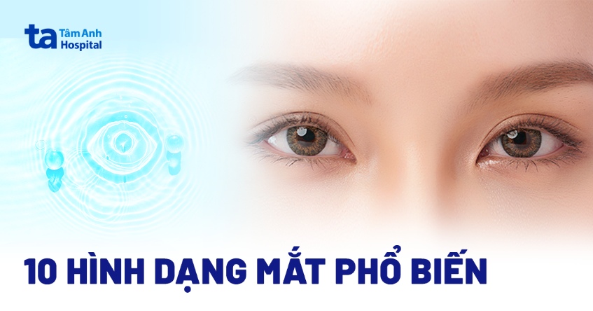 Các kiểu mắt người và 10 hình dạng mắt phổ biến