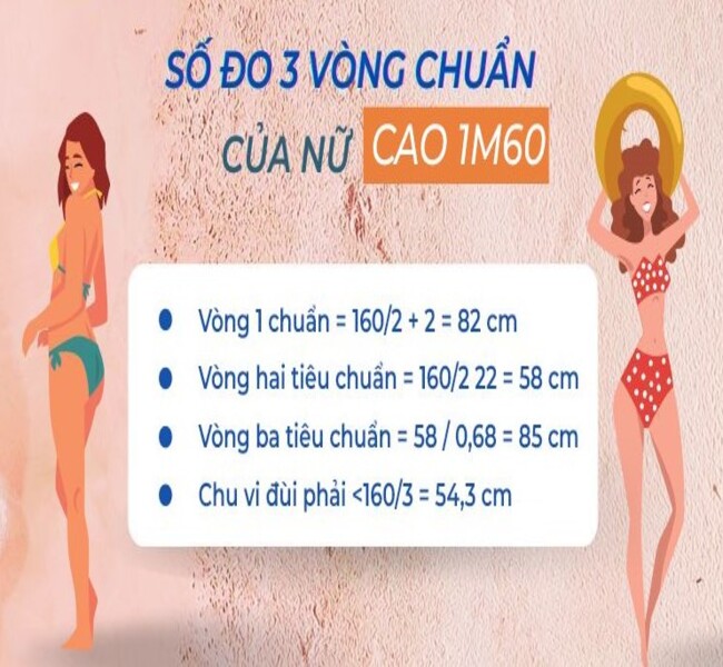 Số Đo 3 Vòng Chuẩn Của Nữ Theo Chiều Cao, Cân Nặng - Cách Tính 3 Vòng