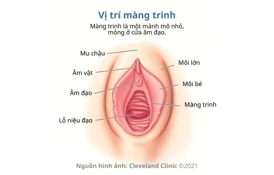 Cách dễ nhận biết màng trinh còn hay rách