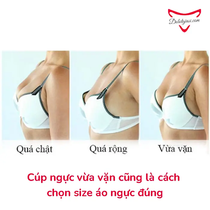 Size áo ngực - Cách đo CHUẨN và một số điều cần lưu ý!