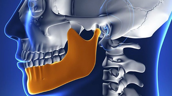 Xương hàm: Cấu tạo, chức năng và một số bệnh lý liên quan