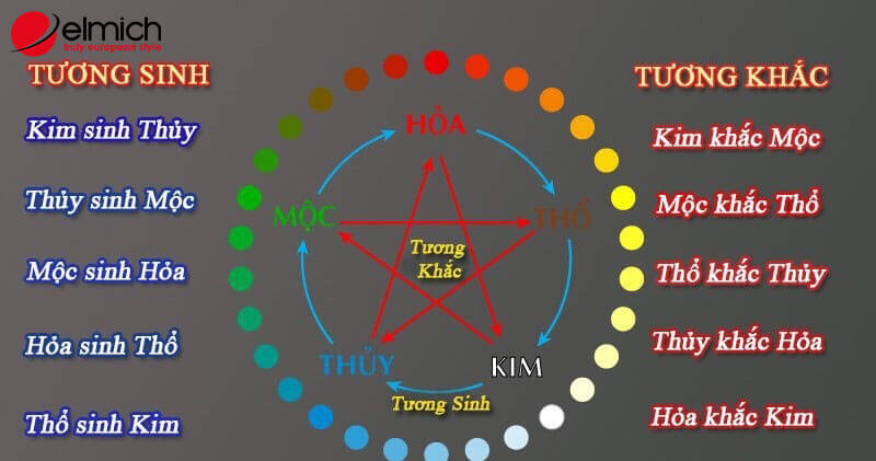 Mệnh Mộc hợp mệnh gì? Giải mã chi tiết A - Z cùng chuyên gia