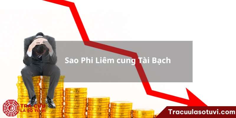 Sao Phi Liêm là gì? Luận giải ý nghĩa Phi Liêm khi thủ tại 12 cung trong lá số tử vi