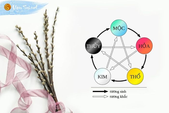 Mối hợp sinh Mộc Hỏa là gì? Ý nghĩa của Mộc Hỏa trong ngũ hành